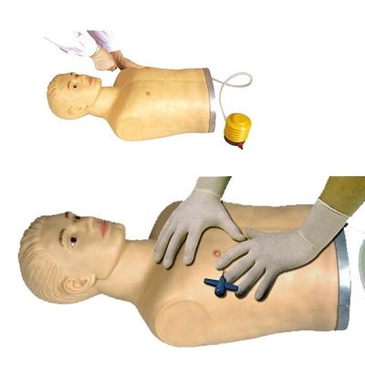 Manikin de perfuração torácica de PVC avançado para demonstração e treinamento de habilidades clínicas