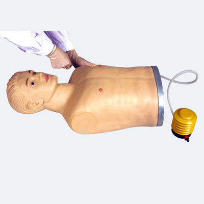 Manikin de perfuração torácica de PVC avançado para demonstração e treinamento de habilidades clínicas