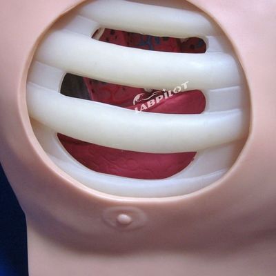 Manikin de PVC avançado para formação de enfermagem de drenagem de perfuração pleural e toracentesia
