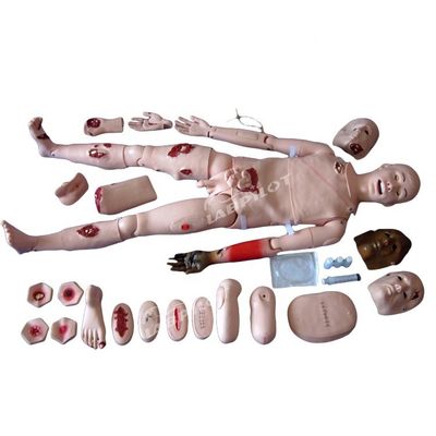 Manikin para clínicas Manikin de enfermagem profissional
