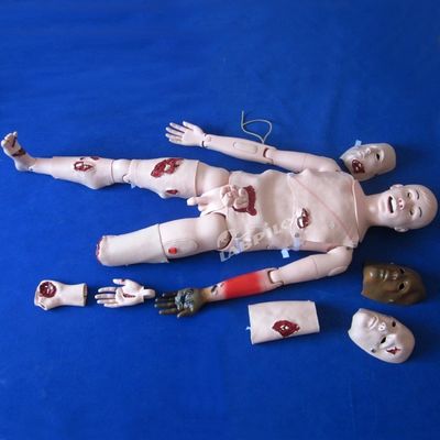 Manikin para clínicas Manikin de enfermagem profissional