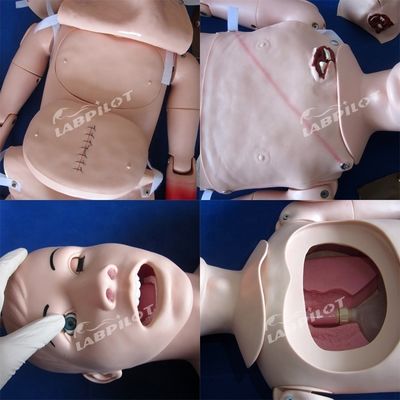 Manikin para clínicas Manikin de enfermagem profissional