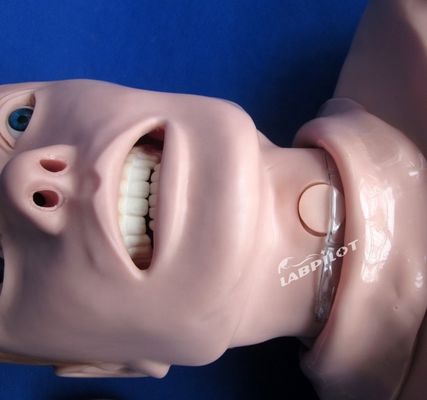 Manikines de tamanho humano profissional para RCP e treinamento de intubação