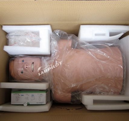 Manikines de tamanho humano profissional para RCP e treinamento de intubação