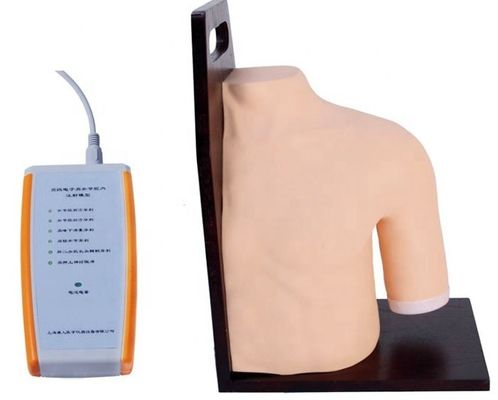 Treinamento Médico Avançado de PVC Modelo de Ensino de Injeção Intracavitária da Junta do Ombro