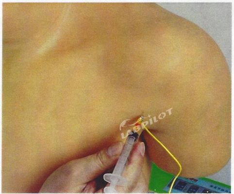 Treinamento Médico Avançado de PVC Modelo de Ensino de Injeção Intracavitária da Junta do Ombro