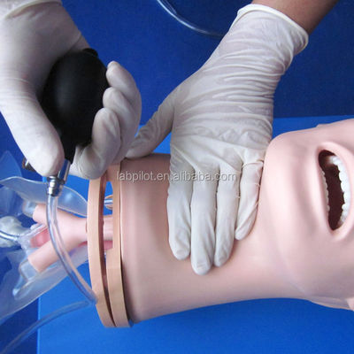 Modelo avançado de gestão das vias aéreas de PVC para formação em intubação e sucção nos cuidados de saúde