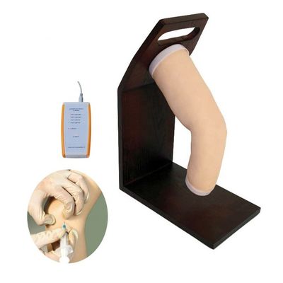 Simulador de Treinamento de Injeção Intraarticular Avançada de PVC para Modelo de Cotovelo Humano