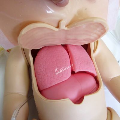 Manikin de PVC avançado para RCP pediátrico e simulação de enfermagem infantil totalmente funcional