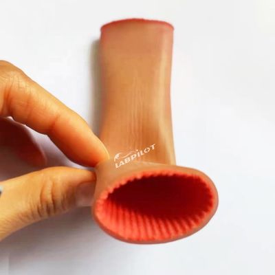 Modelo de Treinamento de Anastomose Intestinal para Estudantes de Medicina Prática de Sutura Laparoscópica