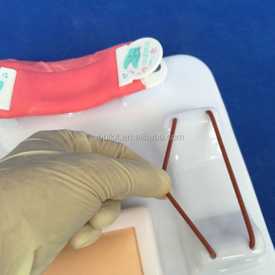 Demonstração de cuidados com os pacientes Tamanho da vida humana Anastomose intestinal e pad de prática de sutura
