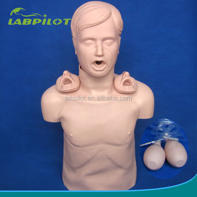 Manikin de treinamento de RCP para adultos com abertura avançada das vias aéreas e simulação de manobra de Heimlich