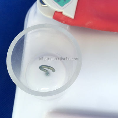Demonstração de cuidados com os pacientes Tamanho da vida humana Anastomose intestinal e pad de prática de sutura