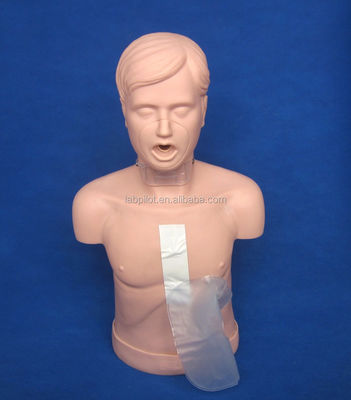 Manikin de treinamento de RCP para adultos com abertura avançada das vias aéreas e simulação de manobra de Heimlich