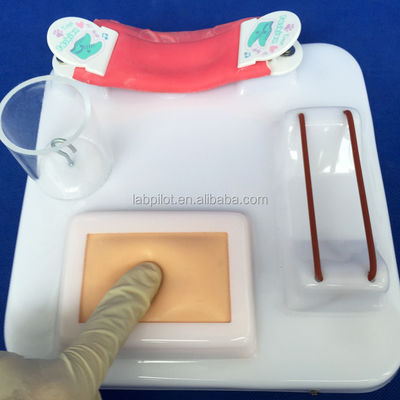 Demonstração de cuidados com os pacientes Tamanho da vida humana Anastomose intestinal e pad de prática de sutura