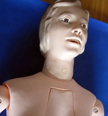 Órgãos Internos Treinamento de Enfermagem Manikin para o tamanho da vida humana Demonstração de cuidados aos pacientes