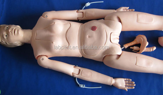 Órgãos Internos Treinamento de Enfermagem Manikin para o tamanho da vida humana Demonstração de cuidados aos pacientes