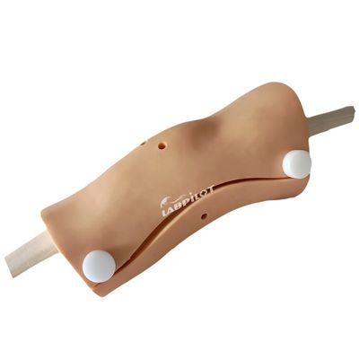 Modelo de Artroscopia Avançada do Joelho Treinamento de Habilidades de Enfermagem Clínica com Plástico Avançado de PVC