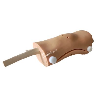 Modelo de Artroscopia Avançada do Joelho Treinamento de Habilidades de Enfermagem Clínica com Plástico Avançado de PVC