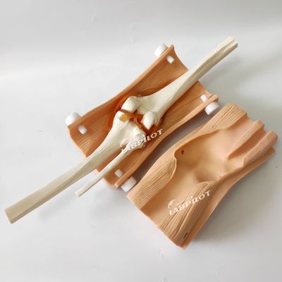 Modelo de Artroscopia Avançada do Joelho Treinamento de Habilidades de Enfermagem Clínica com Plástico Avançado de PVC