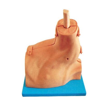 Simulador de Treinamento de Exame Médico para Artroscopia do Ombro