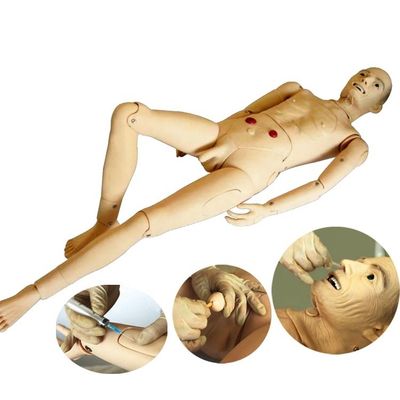 Manikin de formação em enfermagem para idosos com função de pressão arterial