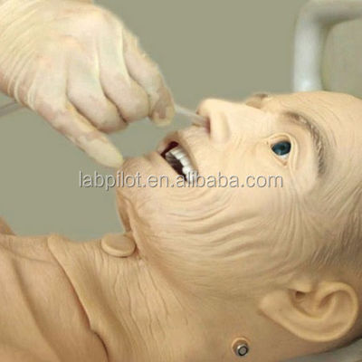 Manikin para enfermagem CPR BP Treinamento A chave para o sucesso do cuidado de pacientes idosos