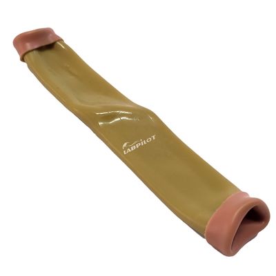 Simulador de prática de corte de intestino para manikin Demonstração de cuidados com pacientes
