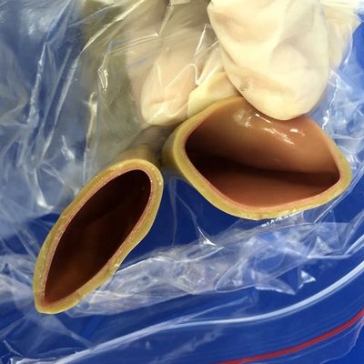 Modelo de Treinamento de Habilidades Cirúrgicas para Anastomose Intestinal Simulação Humana Realista