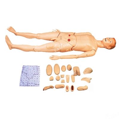 Categorias Prática integral de cuidados de enfermagem Simulador de paciente masculino multifuncional
