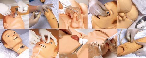 Categorias Prática integral de cuidados de enfermagem Simulador de paciente masculino multifuncional