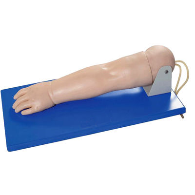 Avançado Pediatric Venipuncture Braço para pacientes Demonstração de Cuidados