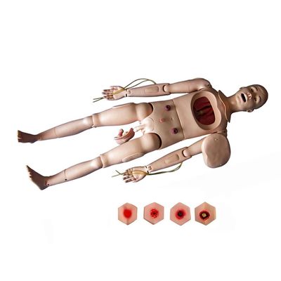 Formação em Enfermagem para Homens e Mulheres Maniquínio de Assistência a Pacientes Flexíveis Demonstração