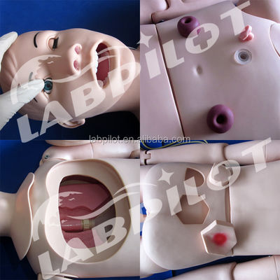 Formação em Enfermagem para Homens e Mulheres Maniquínio de Assistência a Pacientes Flexíveis Demonstração
