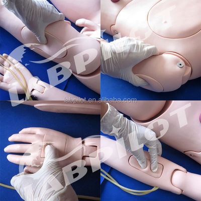 Formação em Enfermagem para Homens e Mulheres Maniquínio de Assistência a Pacientes Flexíveis Demonstração