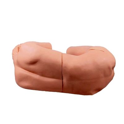 Modelo Médico Avançado de Perfuração Lumbar Treinamento de Habilidades para Educação em Enfermagem Clínica