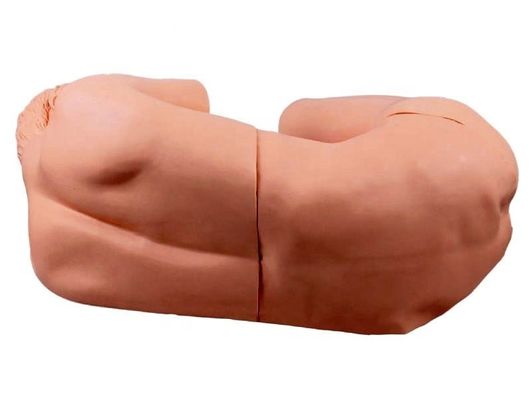 Modelo Médico Avançado de Perfuração Lumbar Treinamento de Habilidades para Educação em Enfermagem Clínica