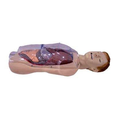 Hospital Clínica Faculdade Escola de Enfermagem Tamanho da vida humana Sengstaken-Blakemore NG Tubos Enfermagem Treinamento Simulador