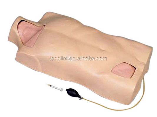 Treinamento de Punção de Venas Múltiplas Simulador de Cateterismo Venoso Central Modelo de Torso