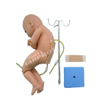 Ciências Médicas Infância Punção Lumbal Anestesia Treinamento Simulador Manikin
