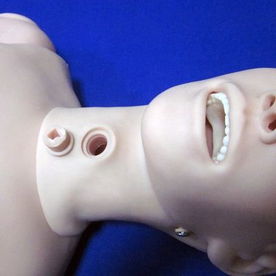 Ciências Médicas Tipo Básico Mulheres Enfermagem Manikin Simulador de Treinamento com PVC Avançado