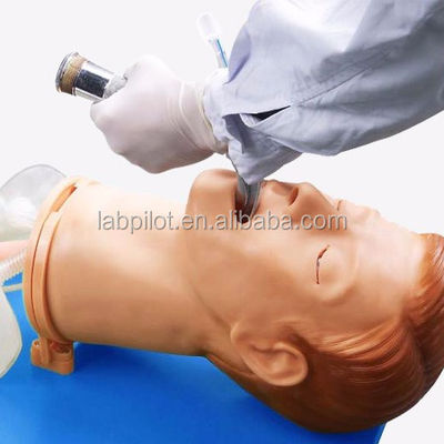 Simulador de treinamento de intubação Modelo abrangente de vias aéreas com manequim de tamanho humano