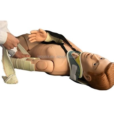Ensino Médico Maniquínio de Fixação Externa Treinamento em Primeiros Socorros de Fratura de membros