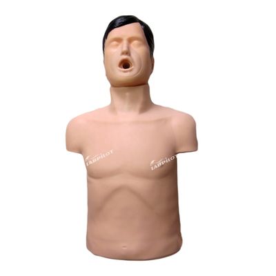 Treinamento de primeiros socorros para adultos em PVC Obstrução das vias aéreas Manikin para treinamento de asfixia