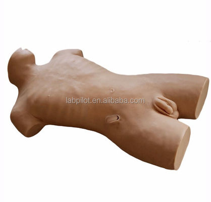 Manikin de ferida viva do tamanho da vida humana para treinamento em venenição central na área de saúde