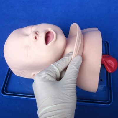 Modelo de Treinamento em Ciências Médicas Intubation Traqueia recém-nascido Cabeça e Ombros Fantasma