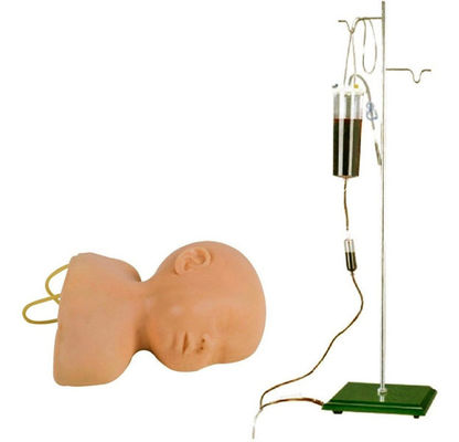 Modelo de Treinamento de Venipunctura do Câncer Neonatal A Vantagem do Design de Tamanho de Vida Humana