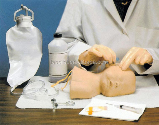 Modelo de Treinamento de Venipunctura do Câncer Neonatal A Vantagem do Design de Tamanho de Vida Humana