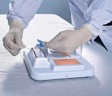 Modelo avançado de formação em competências cirúrgicas multifuncionais em PVC para formação abrangente