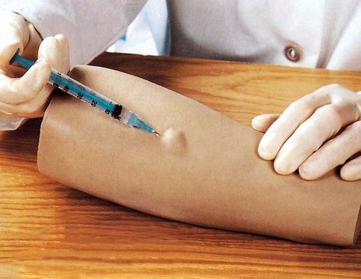 Simulador de Prática de Exames de Pele Tamanho da Vida Humana Injeção Intradérmica Modelo de Braço de Treinamento